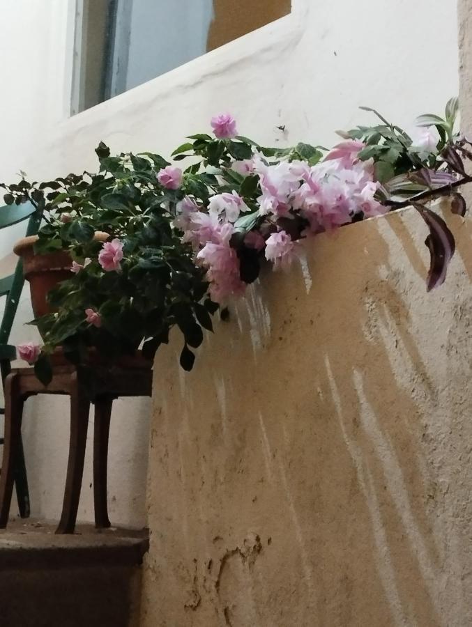 Um Quarto Da Casa Do Monte Vila Franca do Campo Eksteriør billede