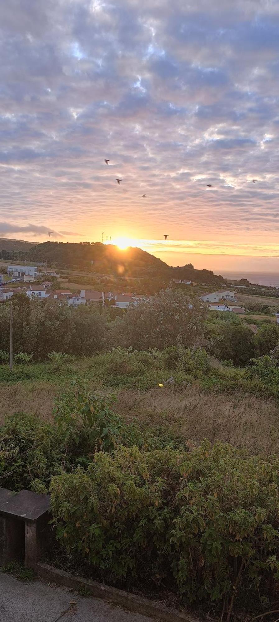 Um Quarto Da Casa Do Monte Vila Franca do Campo Eksteriør billede